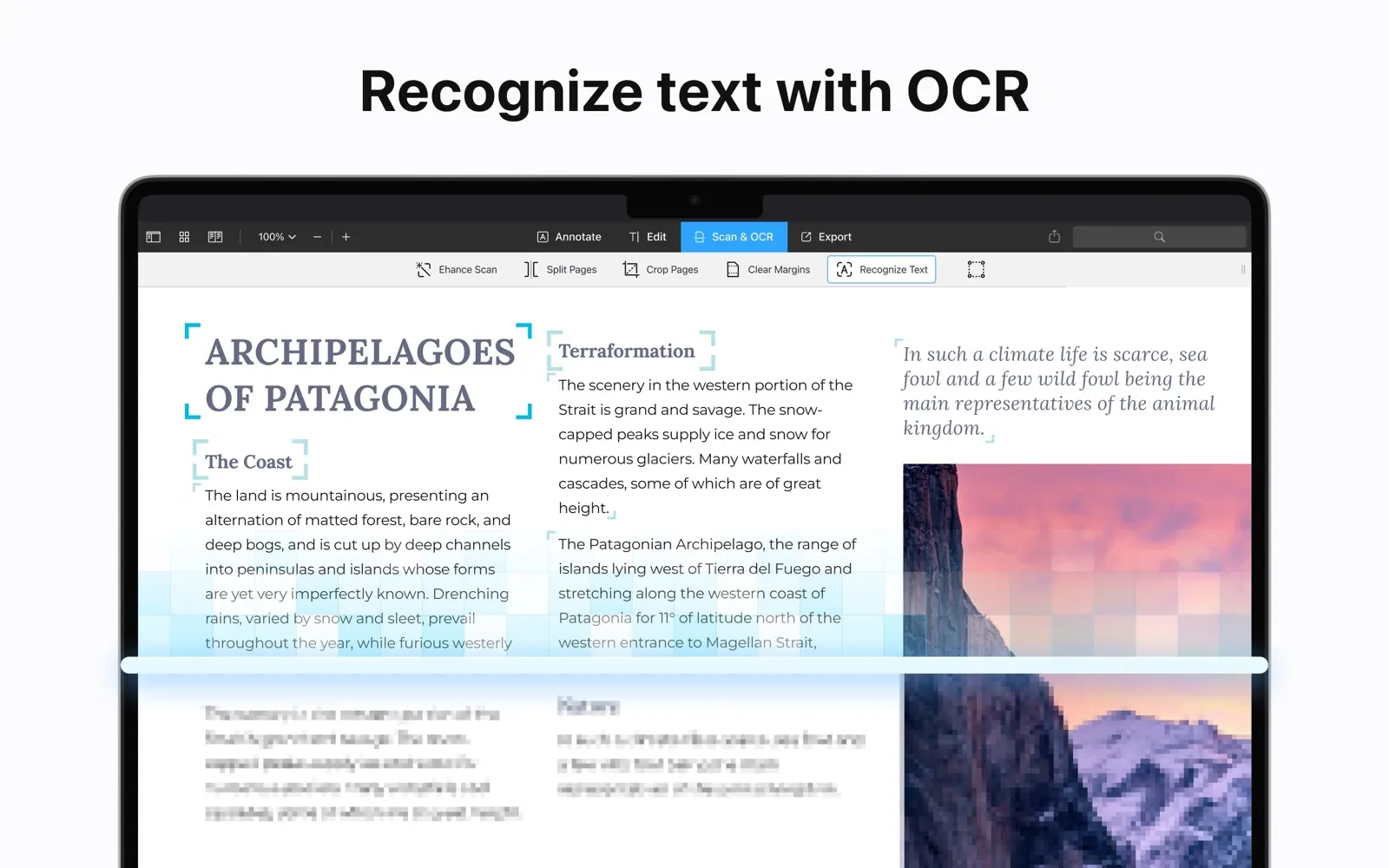 PDF Expert screenshot 5